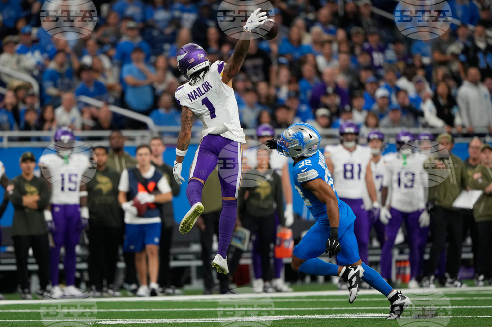 Vikings Lions Football