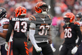 Bears Bengals Football