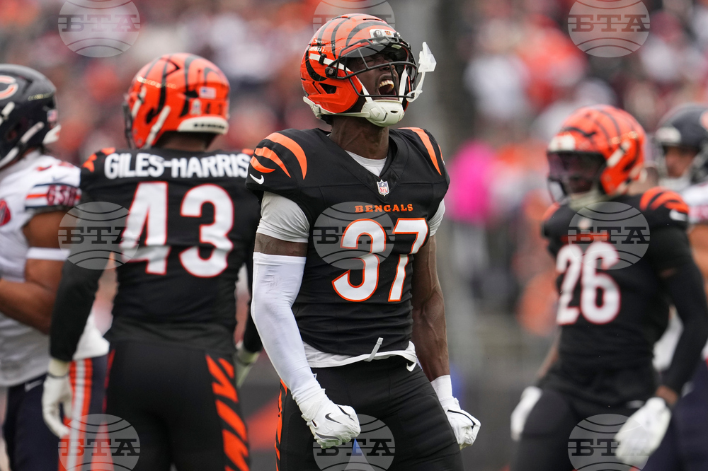 Bears Bengals Football