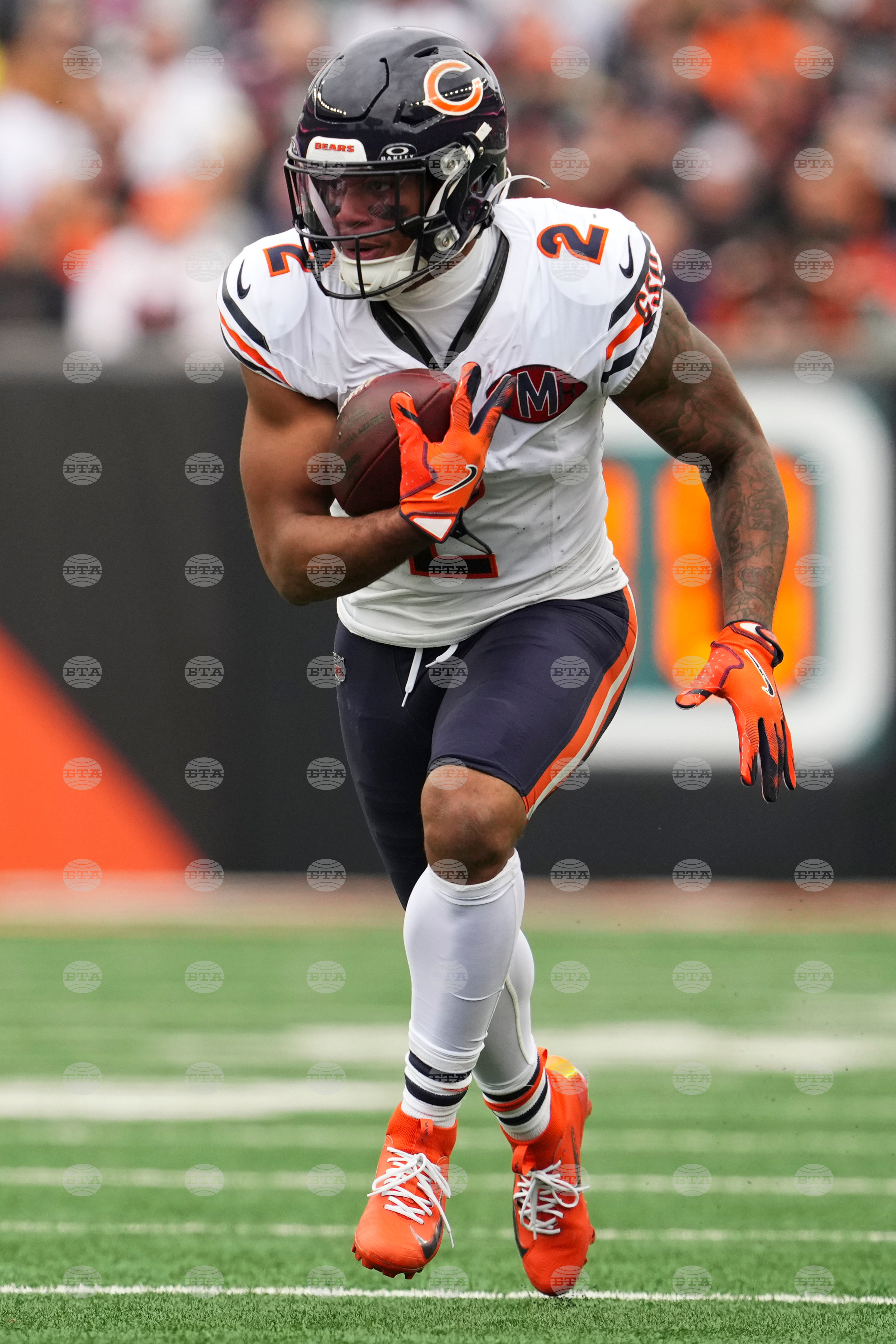 Bears Bengals Football