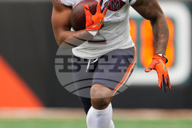 Bears Bengals Football