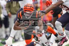 Bears Bengals Football