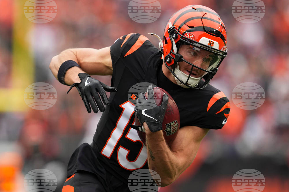 Bears Bengals Football