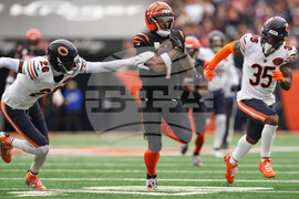 Bears Bengals Football