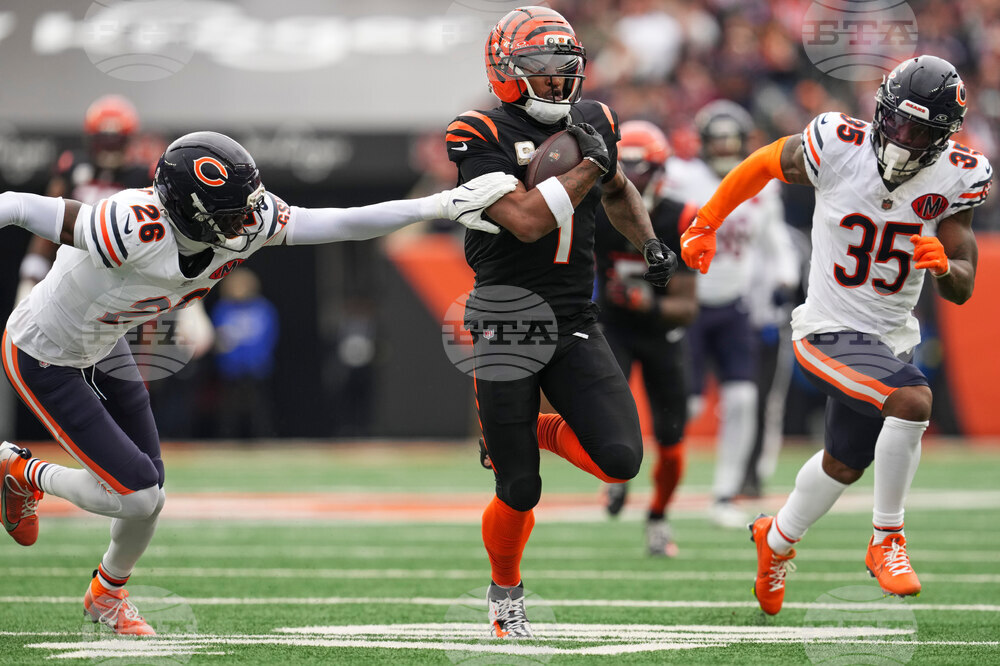 Bears Bengals Football