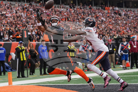 Bears Bengals Football