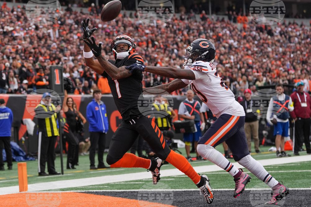 Bears Bengals Football