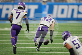 Vikings Lions Football