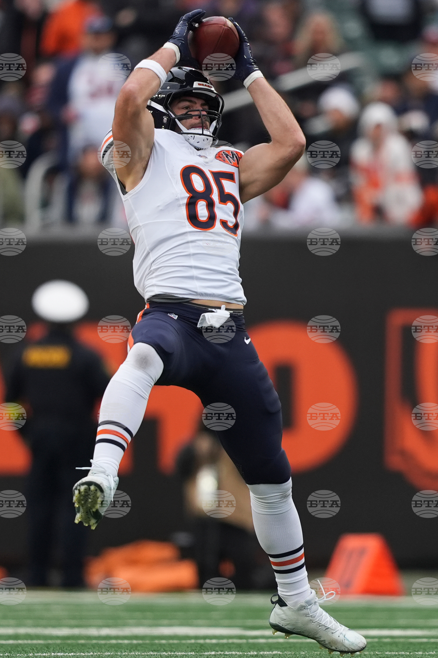 Bears Bengals Football