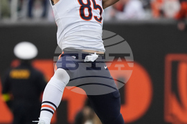 Bears Bengals Football