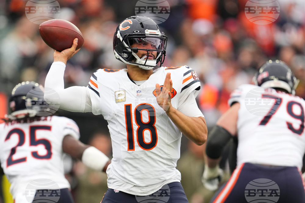 Bears Bengals Football