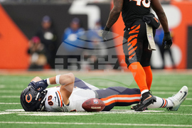 Bears Bengals Football