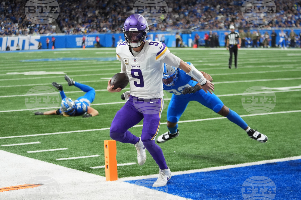 Vikings Lions Football