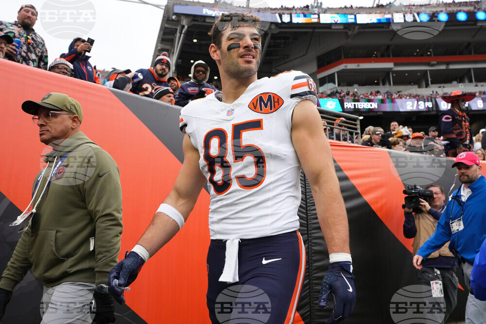 Bears Bengals Football