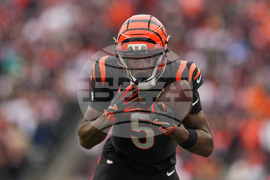 Bears Bengals Football