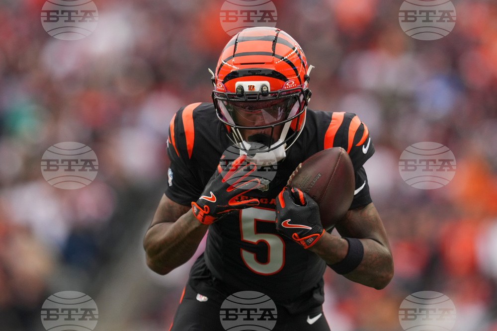 Bears Bengals Football