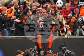 Bears Bengals Football