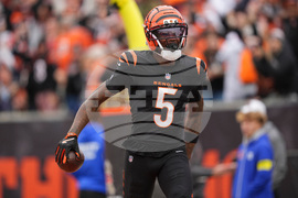 Bears Bengals Football