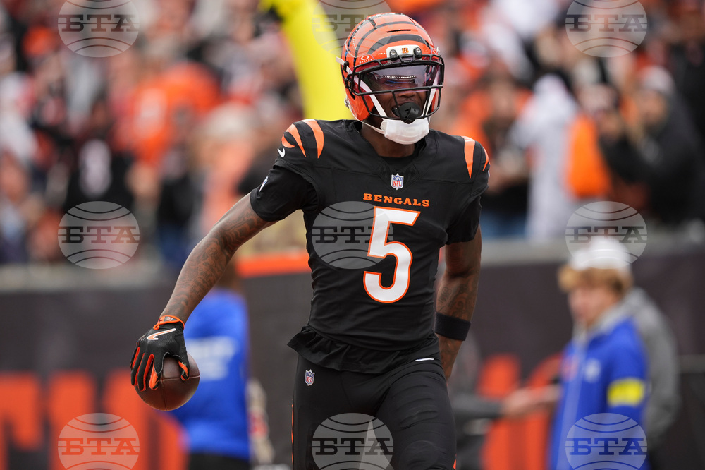 Bears Bengals Football