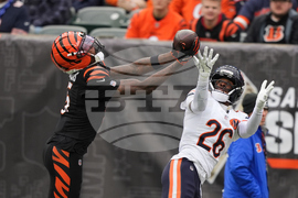 Bears Bengals Football