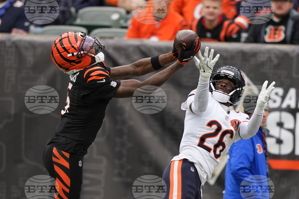 Bears Bengals Football