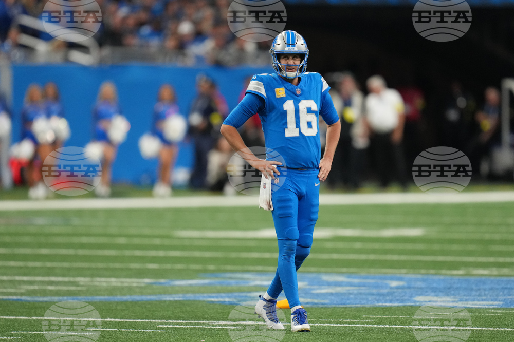 Vikings Lions Football