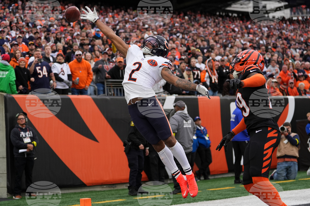 Bears Bengals Football