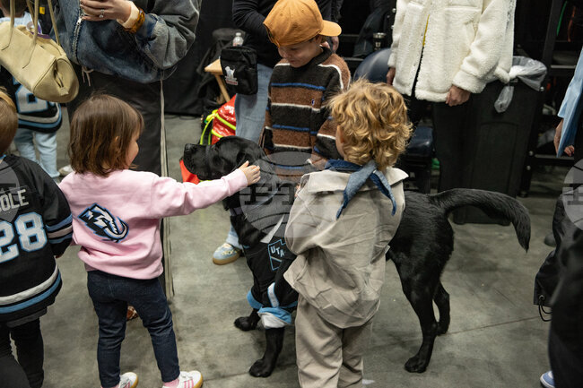 Lighting Mammoth Hockey