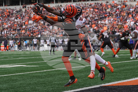 Bears Bengals Football