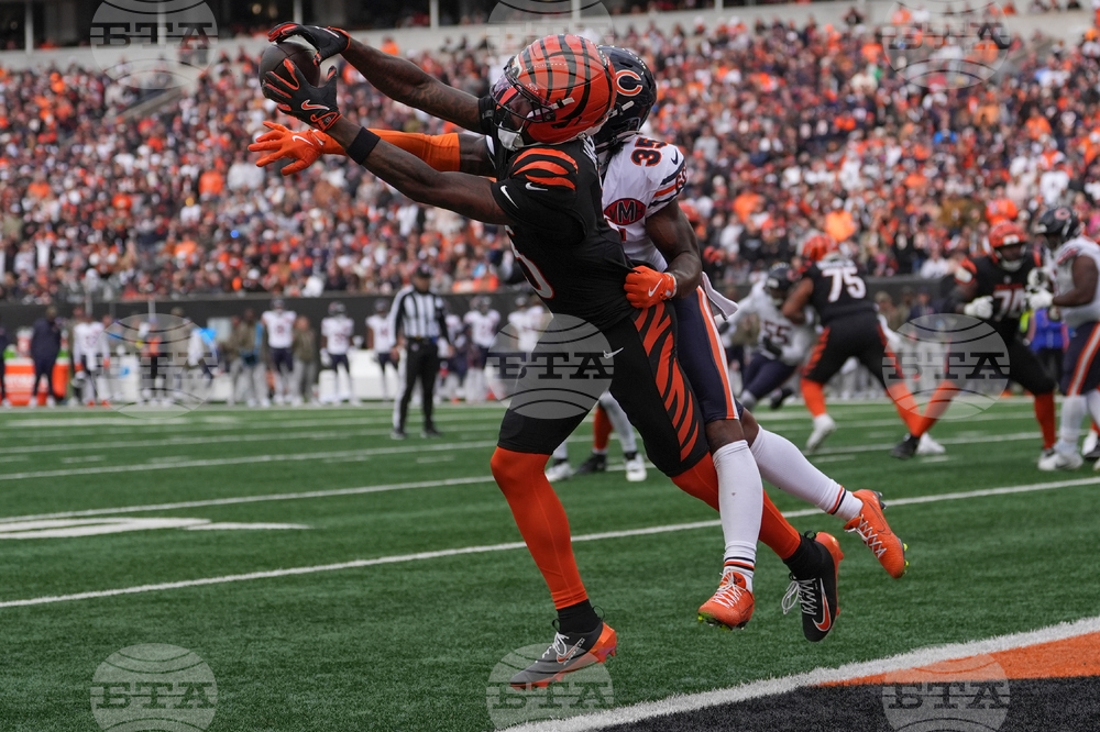 Bears Bengals Football