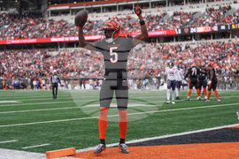 Bears Bengals Football