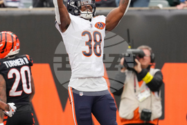 Bears Bengals Football