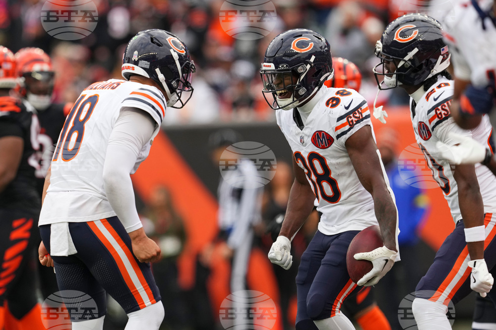 Bears Bengals Football