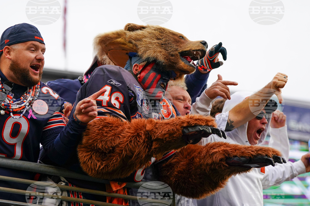 Bears Bengals Football