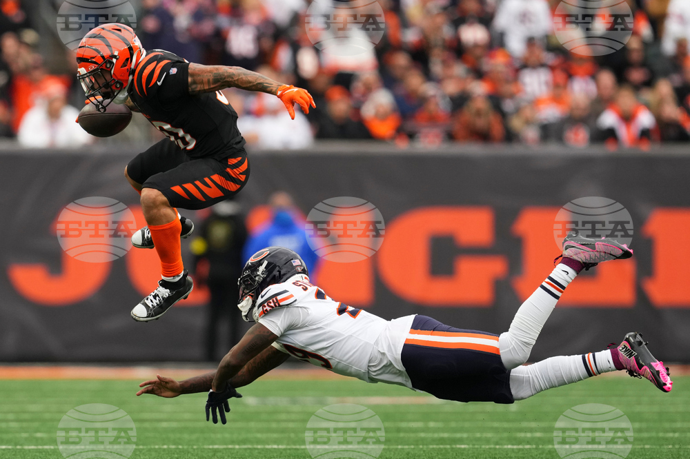 Bears Bengals Football