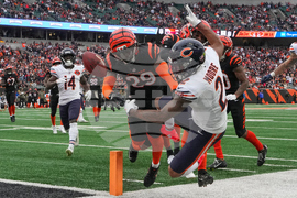 Bears Bengals Football