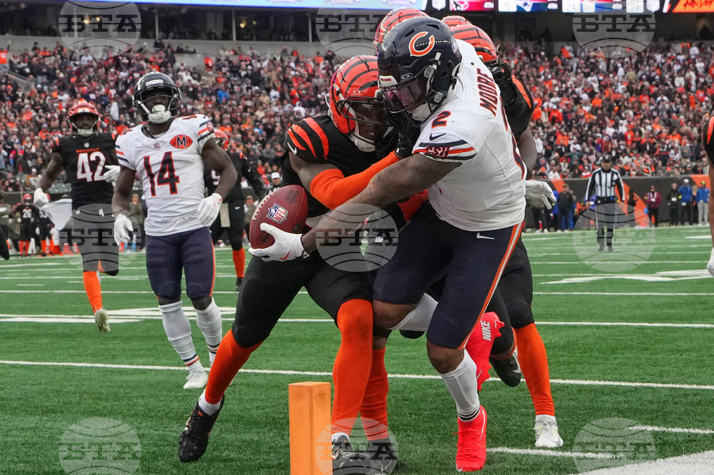 Bears Bengals Football