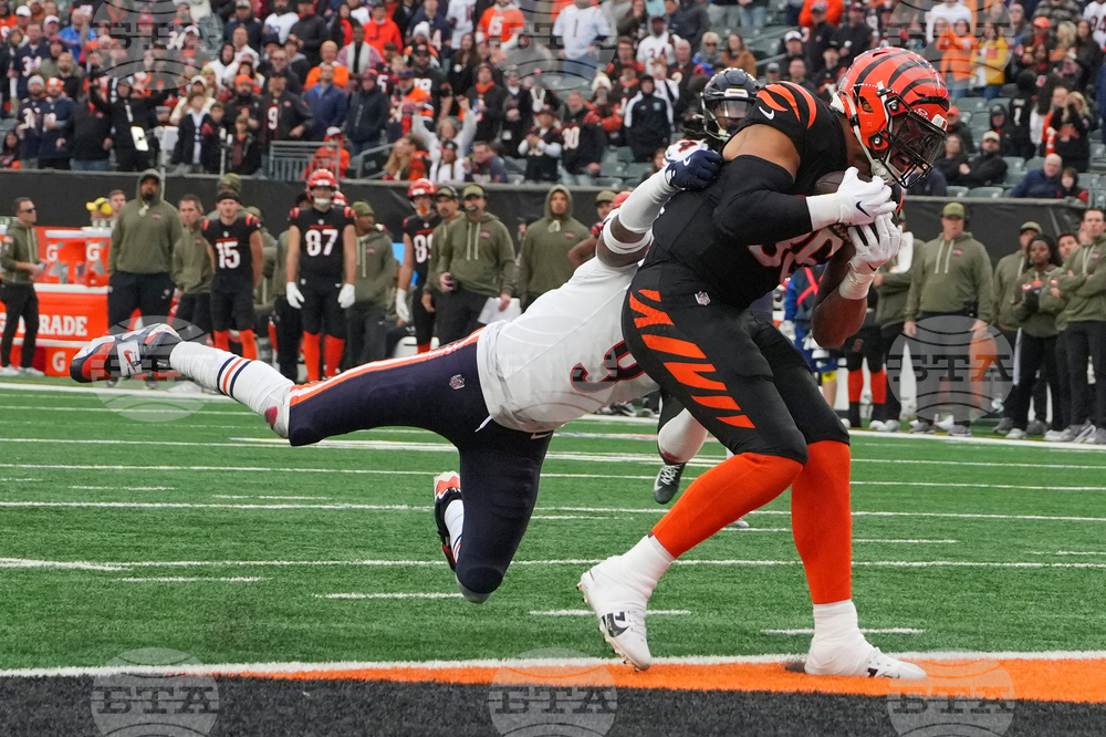 Bears Bengals Football