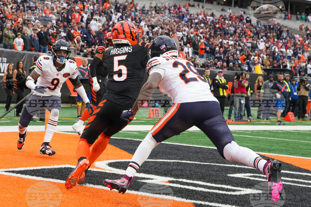 Bears Bengals Football