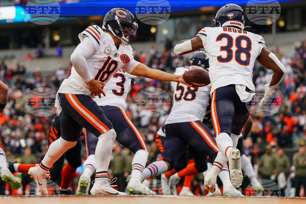 Bears Bengals Football