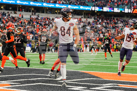 Bears Bengals Football