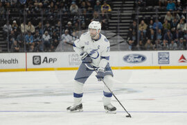 Lighting Mammoth Hockey