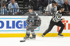 Lightning Mammoth Hockey