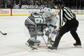 Lightning Mammoth Hockey