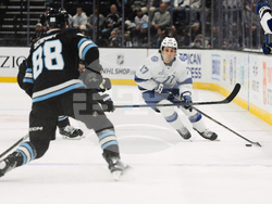 Lightning Mammoth Hockey