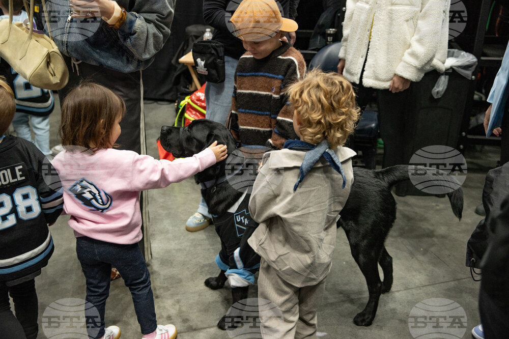 Lightning Mammoth Hockey