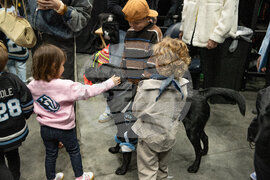 Lightning Mammoth Hockey