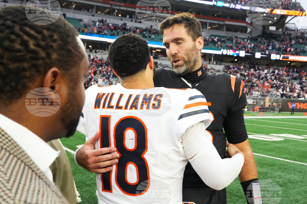 Bears Bengals Football