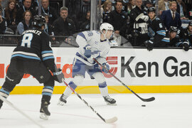 Lightning Mammoth Hockey