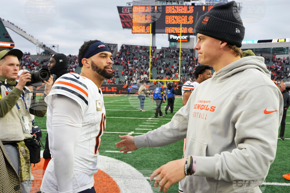 Bears Bengals Football